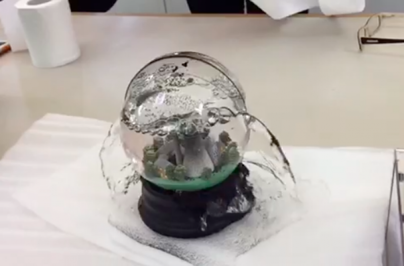 Dorothy's No Globe Disaster Movie