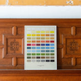 The Colours of Oasis - Special Edition