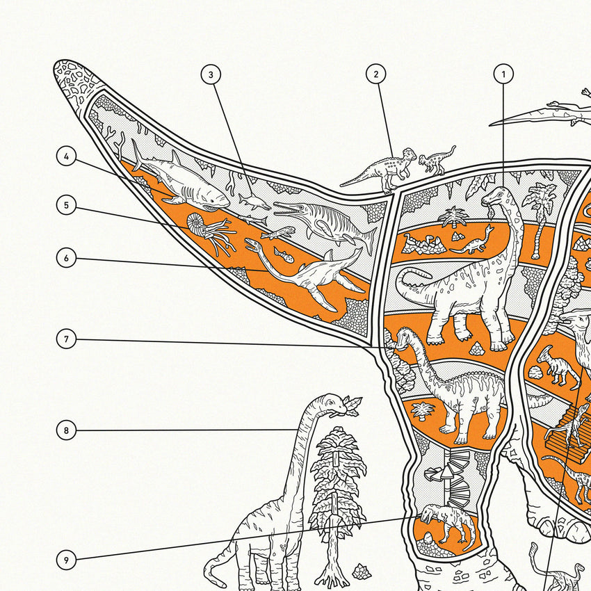 Inside Information: Triceratops