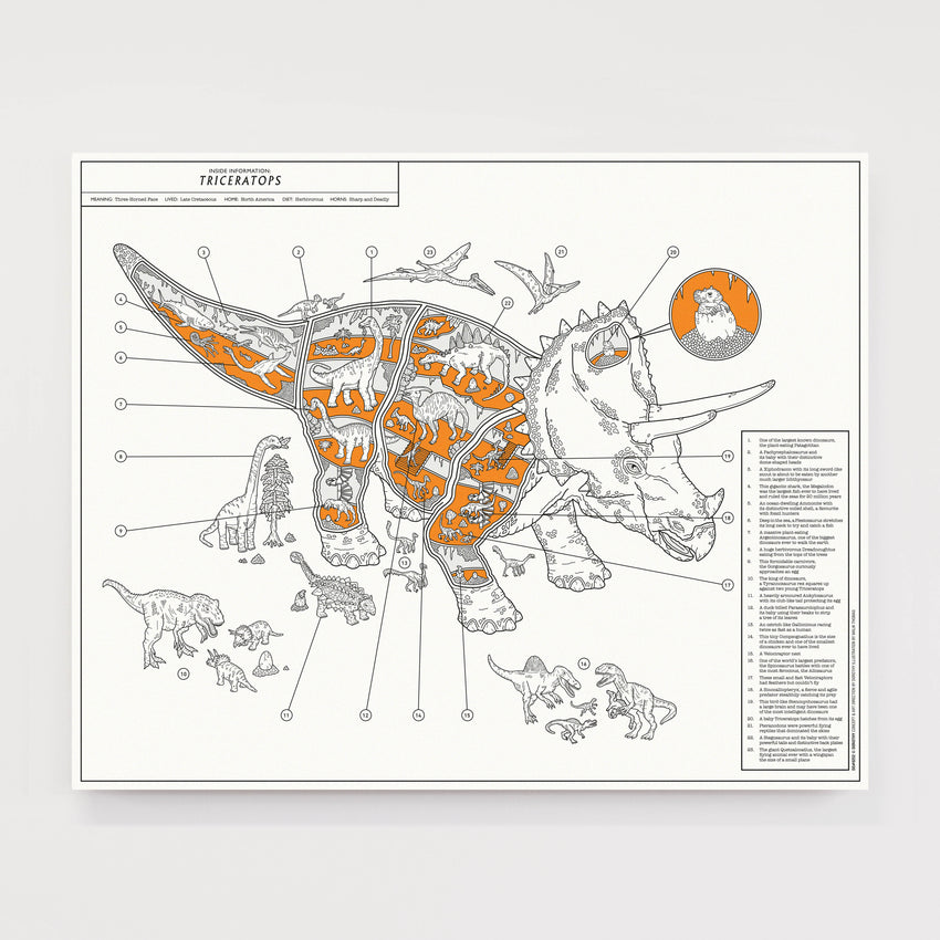 Inside Information: Special Offer Bundle - Tyrannosaurus rex & Triceratops