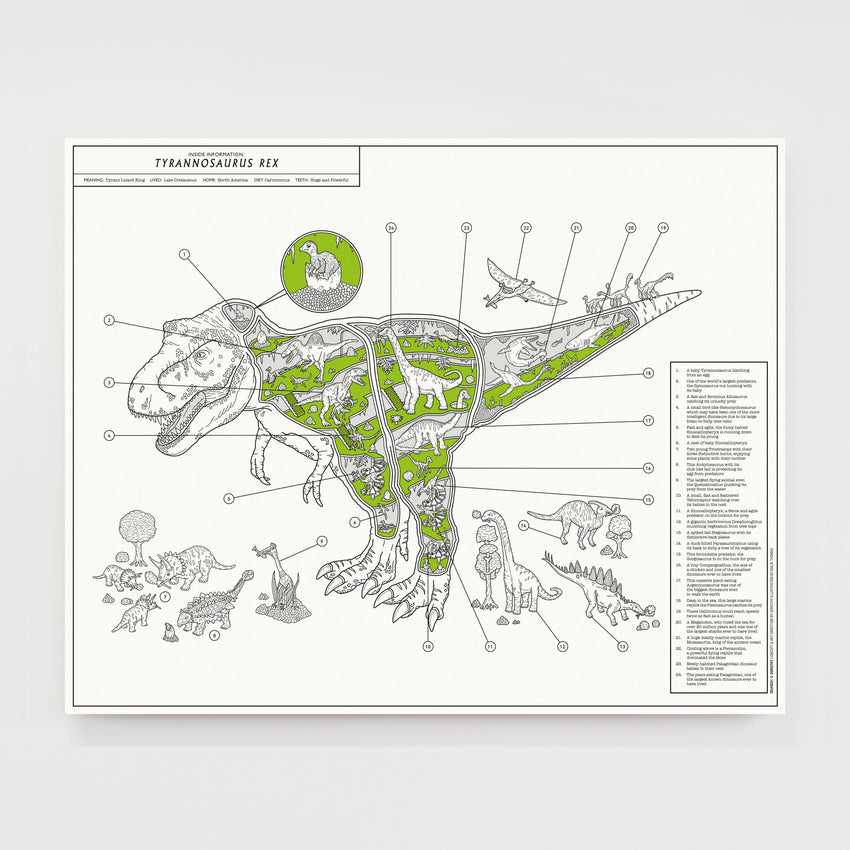 Inside Information: Special Offer Bundle - Tyrannosaurus rex & Triceratops