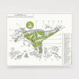 Inside Information: Special Offer Bundle - Tyrannosaurus rex & Triceratops