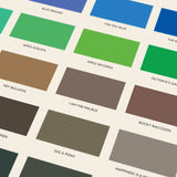 The Colour of The Beatles - Special Edition