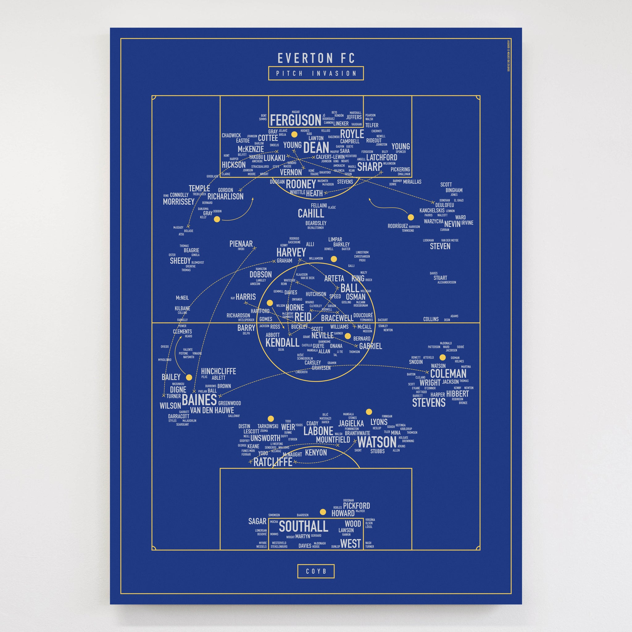 Pitch Invasion: Everton FC