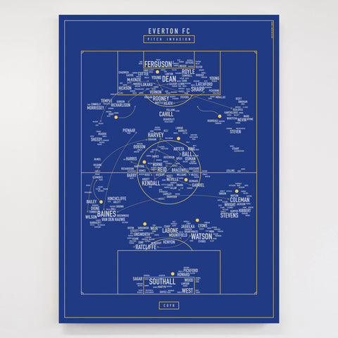 Pitch Invasion: Everton FC