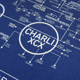 Pop Love Blueprint - A History of Pop Music