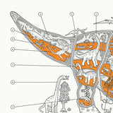 Inside Information: Triceratops