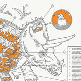 Inside Information: Triceratops