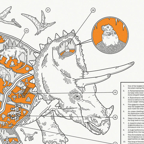 Inside Information: Triceratops