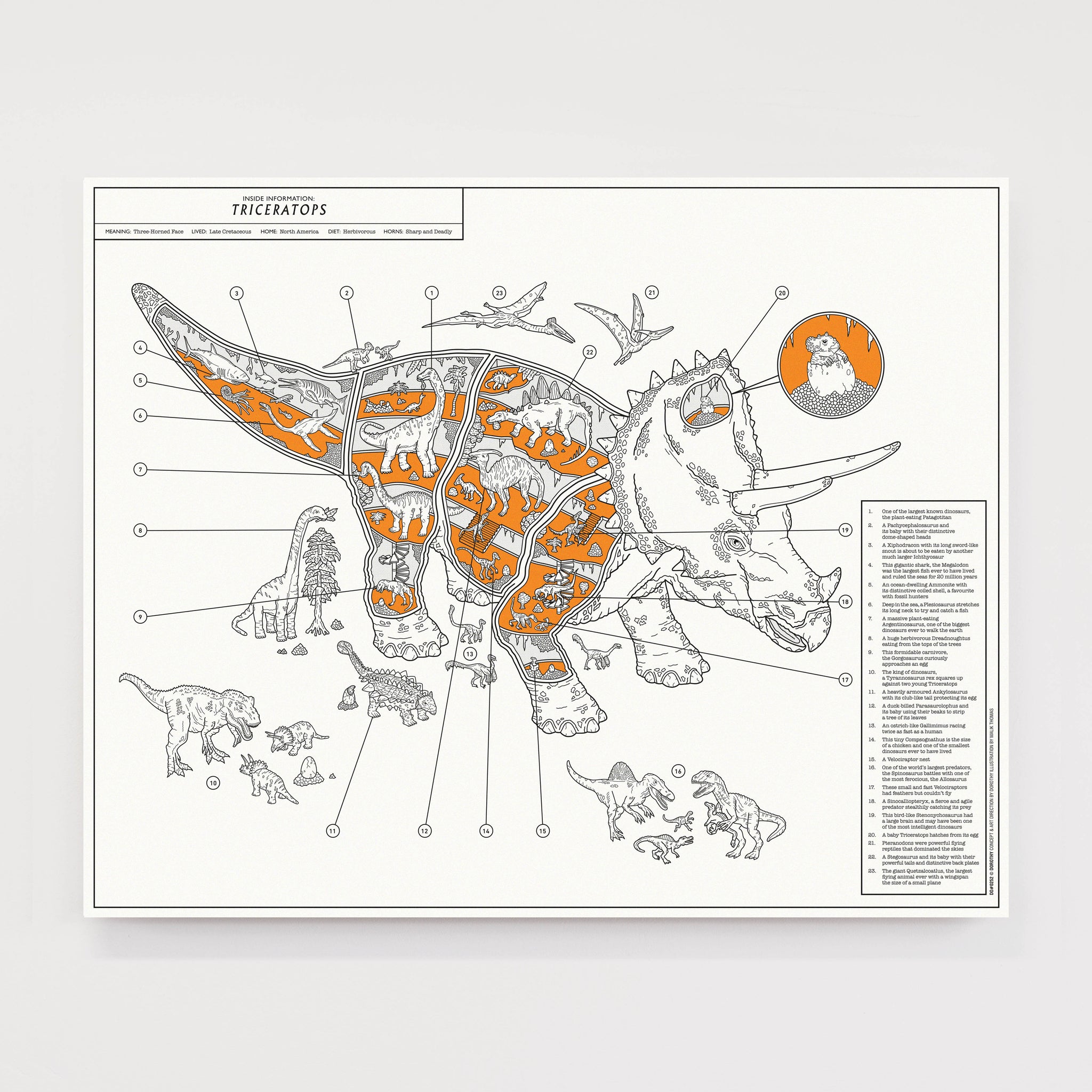 Inside Information: Triceratops