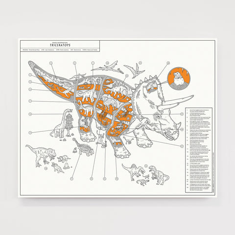 Inside Information: Triceratops