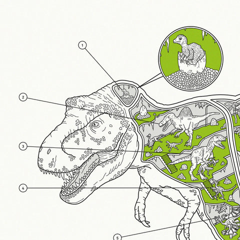 Inside Information: Tyrannosaurus rex