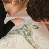 Inside Information: Tyrannosaurus rex