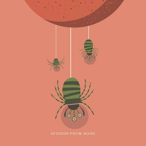 Rock 'N' Roll Zoo: The Spiders from Mars - 12" Print