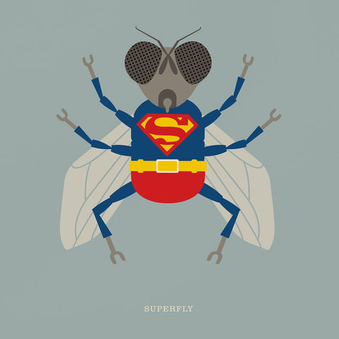 Rock 'N' Roll Zoo: Superfly - 12" Print